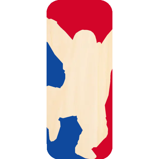 NBA Logo Tortue Géniale